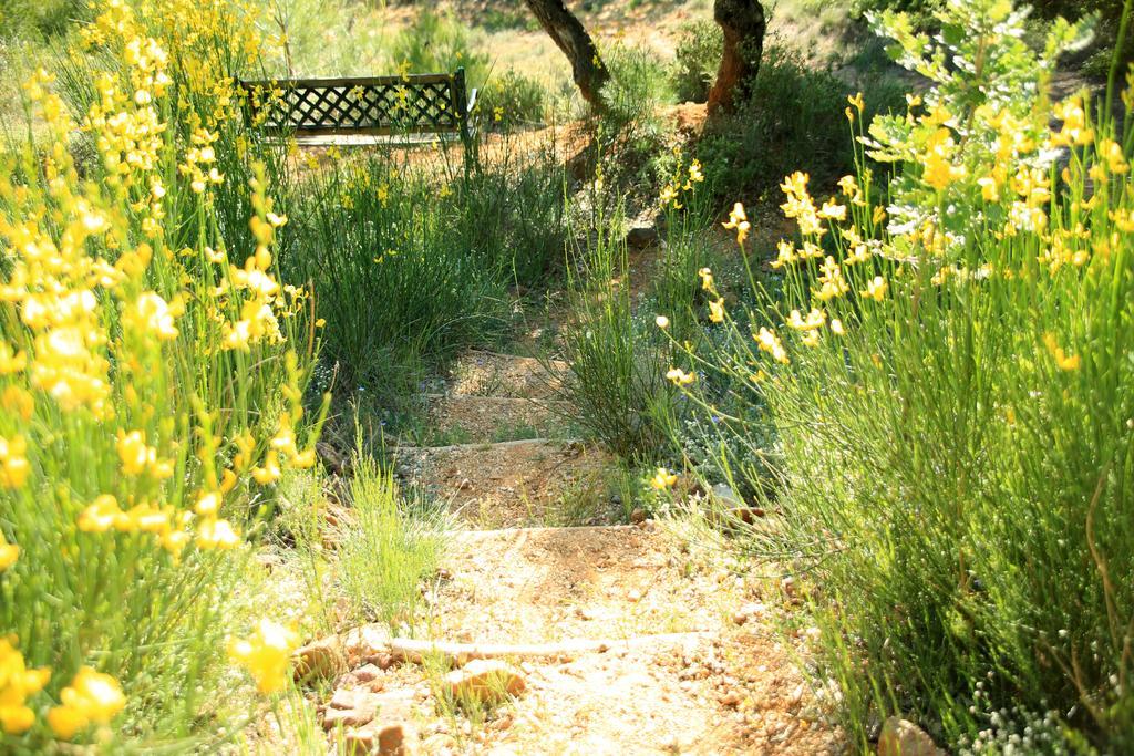 La Colline Des Ocres Village De Vacances 3 Etoiles Apt Dış mekan fotoğraf